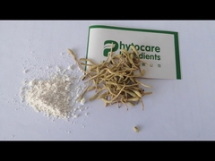 Extrait de fleur de chèvrefeuille