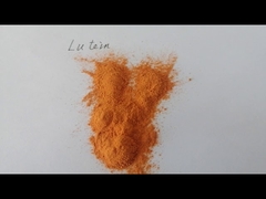 Extrait de fleur de souci pour la protection de la rétine, Lutéine 5% en poudre, extrait de souci pour les yeux