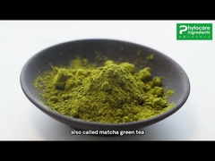 Poudre de thé vert de Matcha pour le thé de la Chine de gâteau/boissons